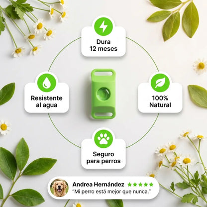 PawCore™ - 12 Months All Natural Flea and Tick Tags for Dogs