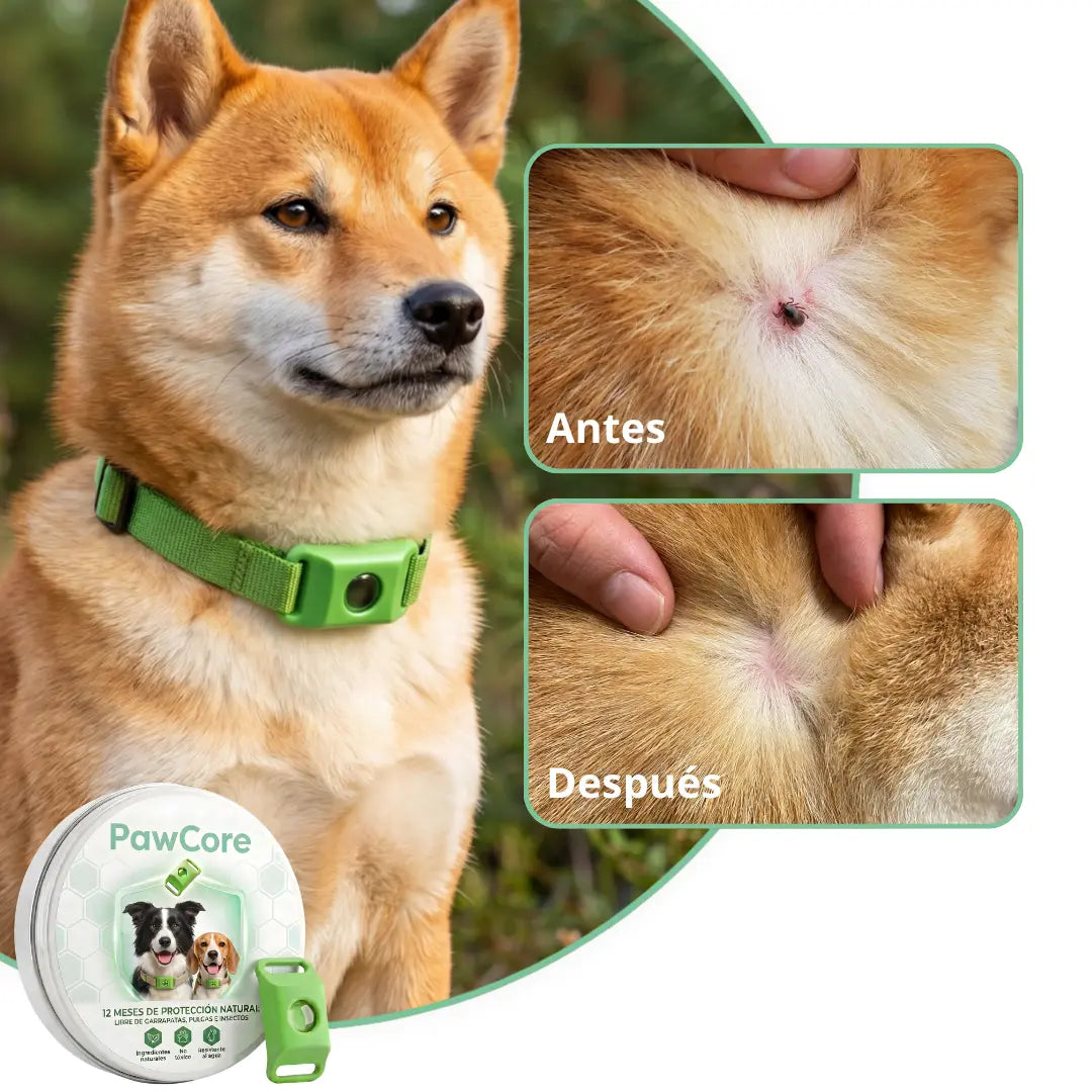 PawCore™ - 12 Months All Natural Flea and Tick Tags for Dogs
